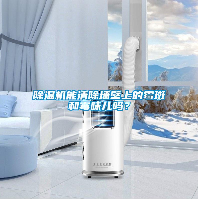 除濕機能清除墻壁上的霉斑和霉味兒嗎?