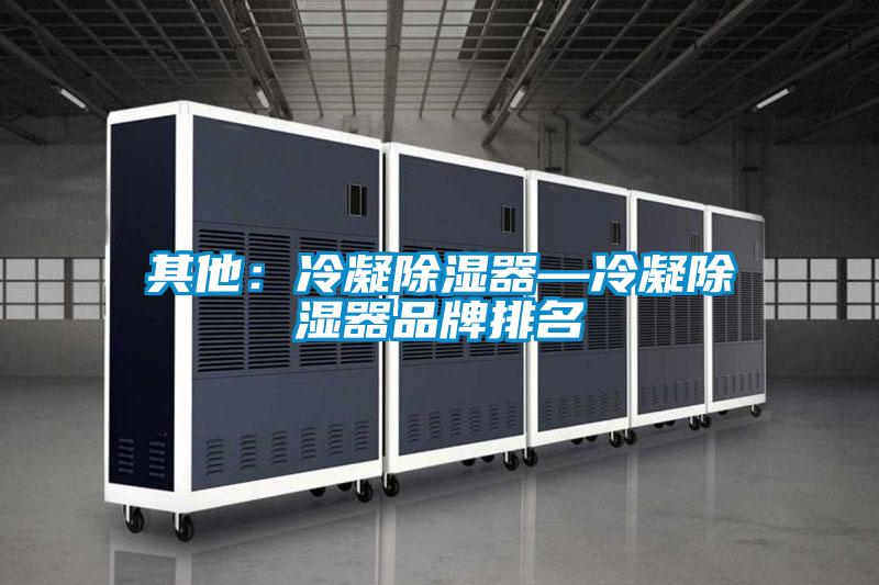 其他:冷凝除濕器—冷凝除濕器品牌排名