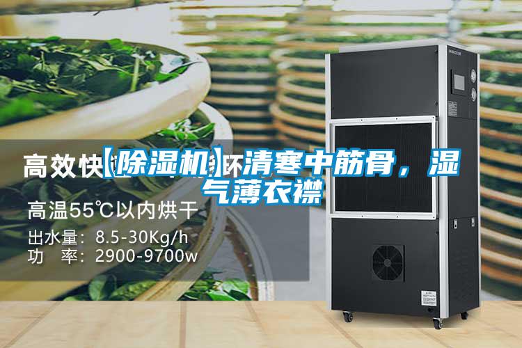 【除濕機】清寒中筋骨,濕氣薄衣襟
