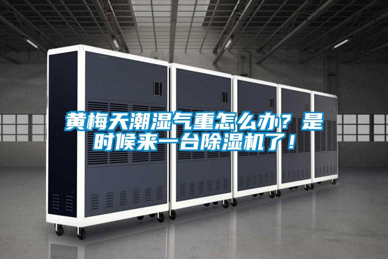 黃梅天潮濕氣重怎么辦？是時(shí)候來一臺(tái)除濕機(jī)了！