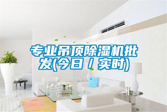 專業(yè)吊頂除濕機(jī)批發(fā)(今日/實(shí)時)