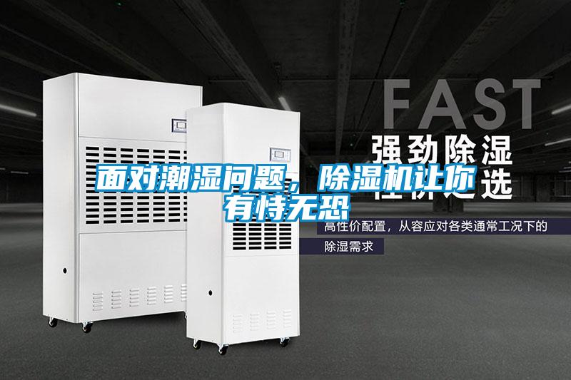 面對潮濕問題,除濕機讓你有恃無恐