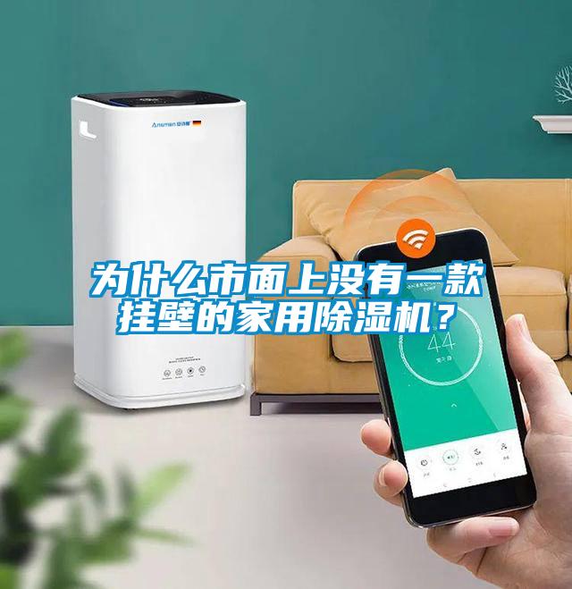 為什么市面上沒(méi)有一款掛壁的家用除濕機(jī)?
