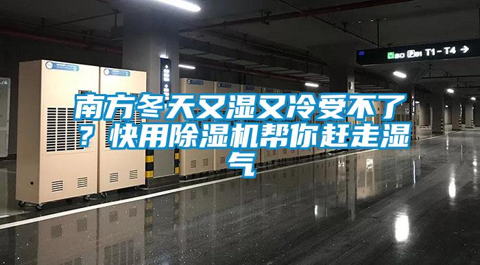 南方冬天又濕又冷受不了？快用除濕機幫你趕走濕氣