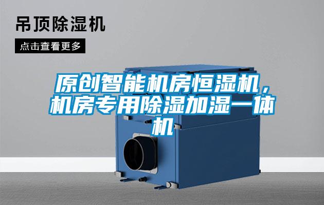 原創智能機房恒濕機,機房專用除濕加濕一體機