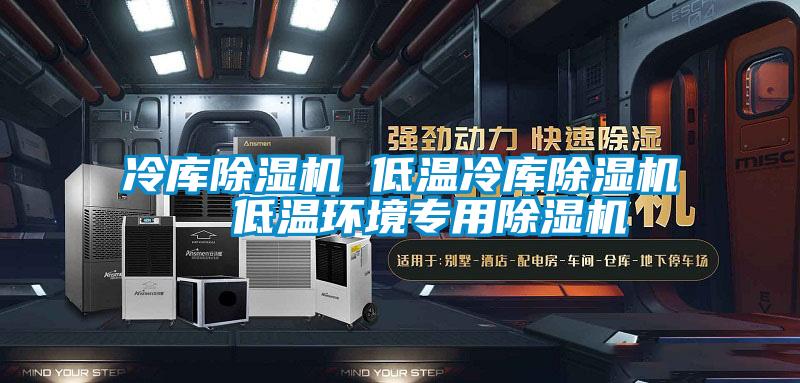 冷庫除濕機(jī) 低溫冷庫除濕機(jī) 低溫環(huán)境專用除濕機(jī)