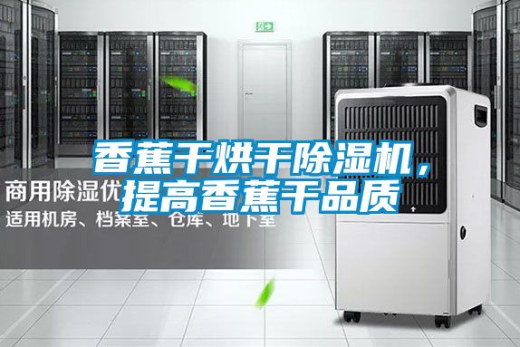 香蕉干烘干除濕機,提高香蕉干品質