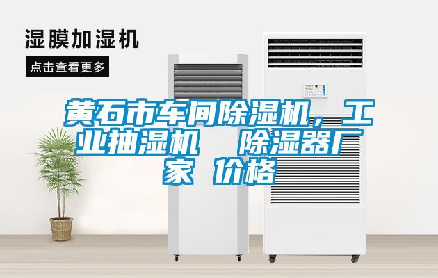 黃石市車間除濕機，工業(yè)抽濕機  除濕器廠家 價格